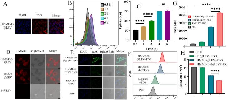 https://cdn.ncbi.nlm.nih.gov/pmc/blobs/ee76/12314323/49f29de8546f/gr3.jpg