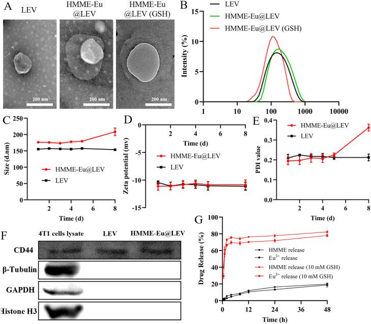 https://cdn.ncbi.nlm.nih.gov/pmc/blobs/ee76/12314323/9b0fb79eef86/gr1.jpg