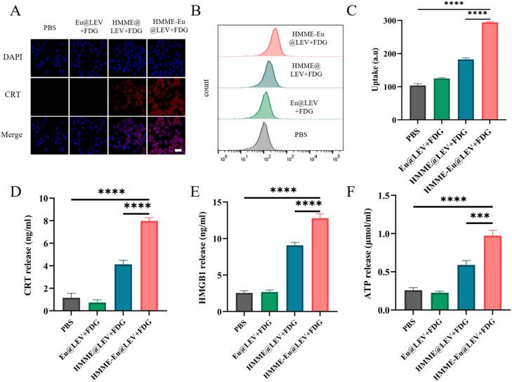 https://cdn.ncbi.nlm.nih.gov/pmc/blobs/ee76/12314323/e172b1b5530a/gr4.jpg