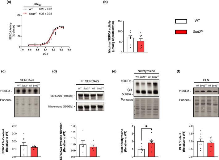 https://cdn.ncbi.nlm.nih.gov/pmc/blobs/ee76/9114654/cc80d7fcf1a2/PHY2-10-e15285-g003.jpg