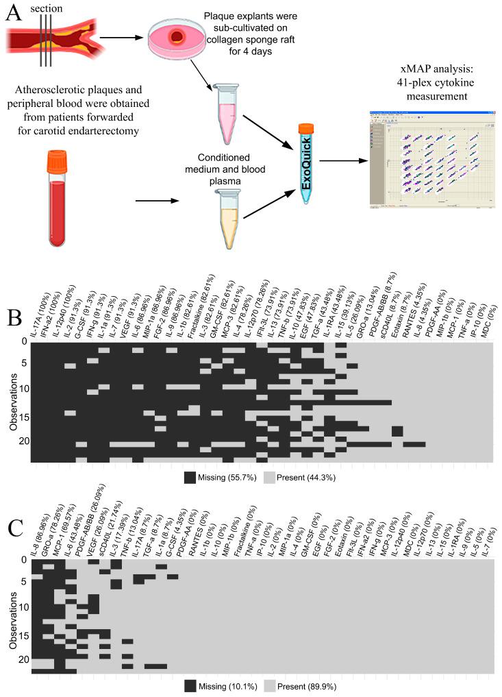 https://cdn.ncbi.nlm.nih.gov/pmc/blobs/ee78/10816498/14ac213391c1/ijms-25-01030-g001.jpg