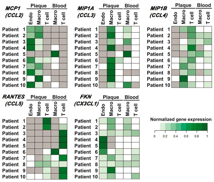 https://cdn.ncbi.nlm.nih.gov/pmc/blobs/ee78/10816498/c7cd4b91abab/ijms-25-01030-g004.jpg