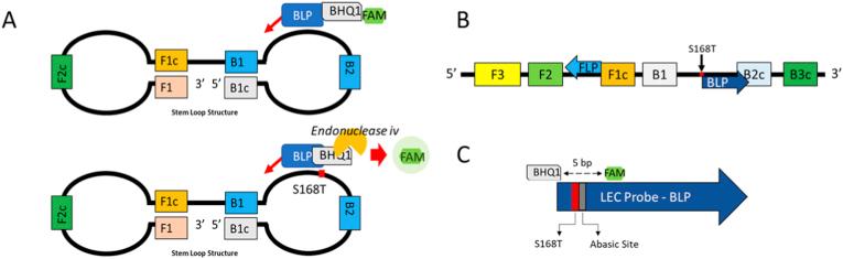 https://cdn.ncbi.nlm.nih.gov/pmc/blobs/ee7e/10884526/19b4a0d021b8/gr1.jpg