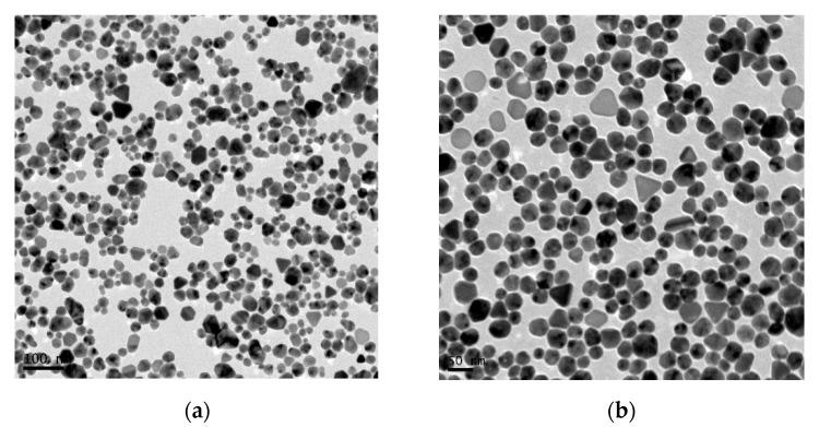 https://cdn.ncbi.nlm.nih.gov/pmc/blobs/ee7f/7022849/a6c05f66933a/nanomaterials-10-00019-g002.jpg