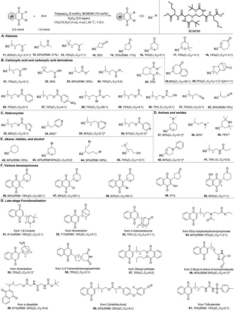 https://cdn.ncbi.nlm.nih.gov/pmc/blobs/ee81/12092725/84b9f2c4cde5/41467_2025_60010_Fig3_HTML.jpg
