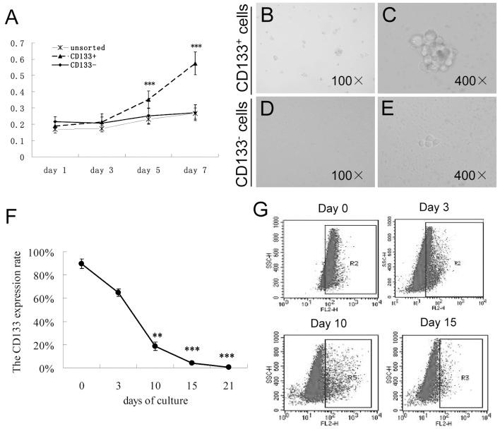 https://cdn.ncbi.nlm.nih.gov/pmc/blobs/ee82/3729244/dcd051525749/OR-30-01-0057-g02.jpg