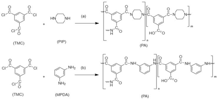 https://cdn.ncbi.nlm.nih.gov/pmc/blobs/ee83/10538012/07ed605a003a/membranes-13-00789-g004.jpg