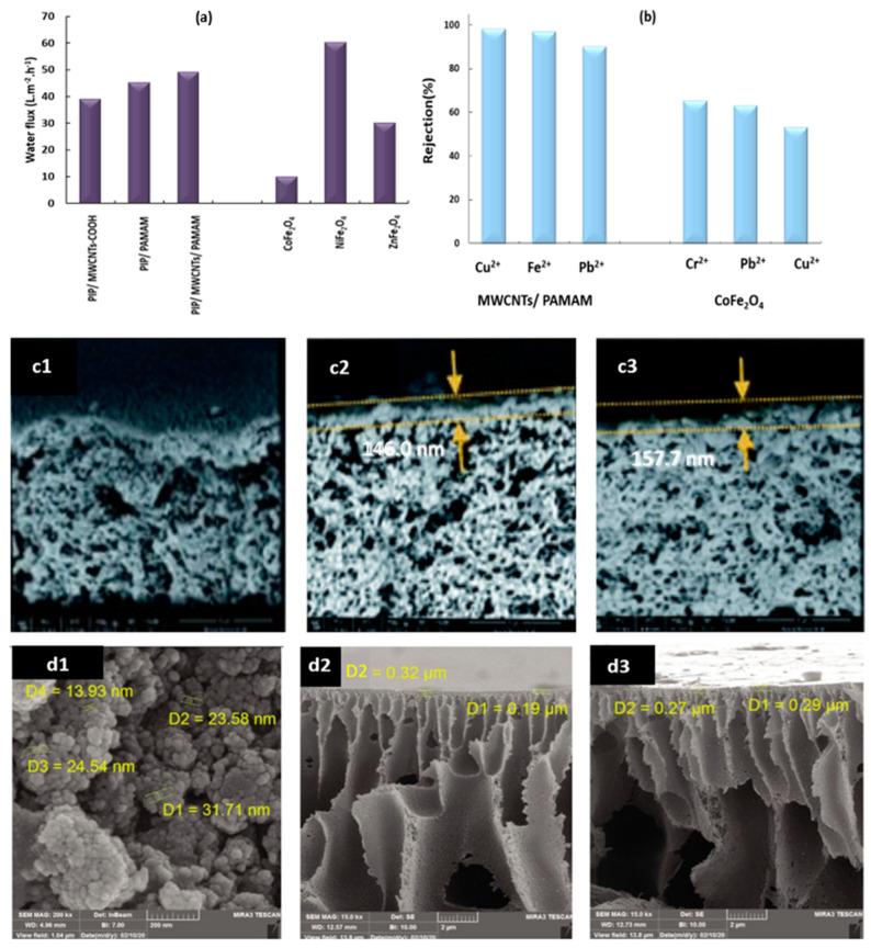 https://cdn.ncbi.nlm.nih.gov/pmc/blobs/ee83/10538012/5aaf2164e16a/membranes-13-00789-g006.jpg