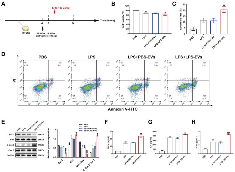 https://cdn.ncbi.nlm.nih.gov/pmc/blobs/ee83/10620832/480bf3c330fd/ijbsv19p5055g005.jpg