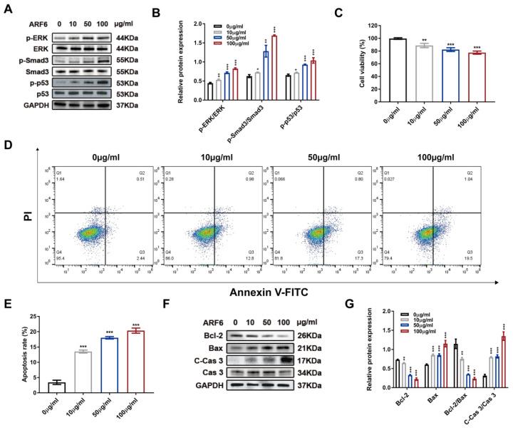 https://cdn.ncbi.nlm.nih.gov/pmc/blobs/ee83/10620832/49d742ec4b09/ijbsv19p5055g008.jpg