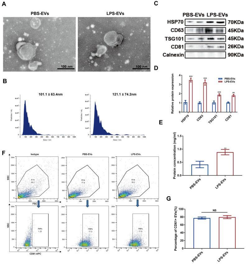 https://cdn.ncbi.nlm.nih.gov/pmc/blobs/ee83/10620832/974afc55347e/ijbsv19p5055g001.jpg