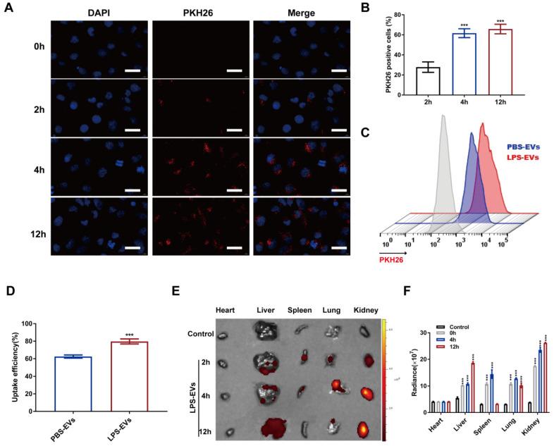 https://cdn.ncbi.nlm.nih.gov/pmc/blobs/ee83/10620832/b88842220910/ijbsv19p5055g002.jpg