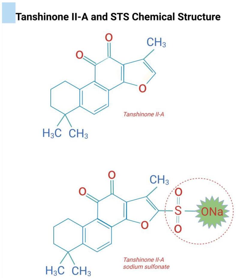 https://cdn.ncbi.nlm.nih.gov/pmc/blobs/ee84/12293886/f59ee7f097c9/dentistry-13-00309-g003.jpg