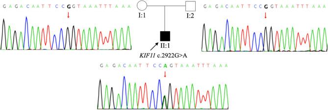 https://cdn.ncbi.nlm.nih.gov/pmc/blobs/ee85/12312374/e0dd3a344121/12886_2025_4261_Fig3_HTML.jpg