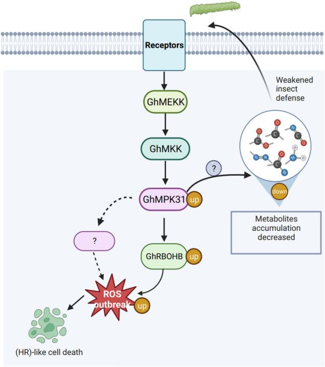 https://cdn.ncbi.nlm.nih.gov/pmc/blobs/ee87/10948490/436336426e83/299_2024_3167_Fig8_HTML.jpg