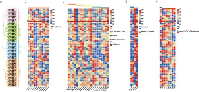 https://cdn.ncbi.nlm.nih.gov/pmc/blobs/ee87/10948490/5ccdb978d87f/299_2024_3167_Fig2_HTML.jpg