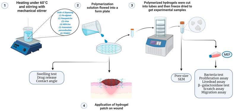 https://cdn.ncbi.nlm.nih.gov/pmc/blobs/ee87/11855668/58425dc20f19/ijms-26-01734-g020.jpg