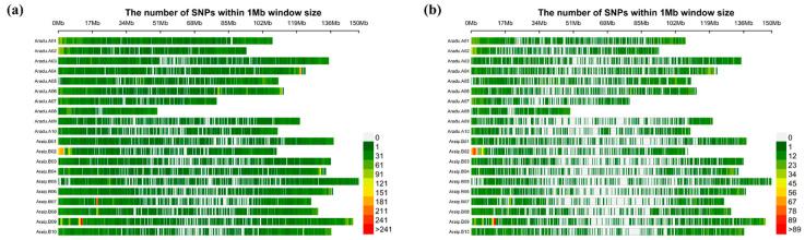 https://cdn.ncbi.nlm.nih.gov/pmc/blobs/ee87/7822046/1f9d5256ac4c/genes-12-00002-g001.jpg