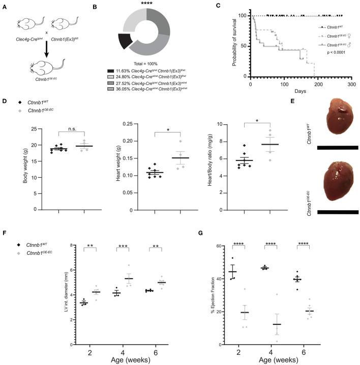 https://cdn.ncbi.nlm.nih.gov/pmc/blobs/ee88/8511684/d2f4451252eb/fphys-12-722394-g0001.jpg