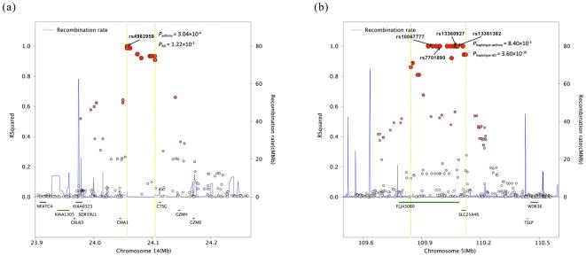 https://cdn.ncbi.nlm.nih.gov/pmc/blobs/ee89/3335873/4332fe231979/pone.0035334.g001.jpg