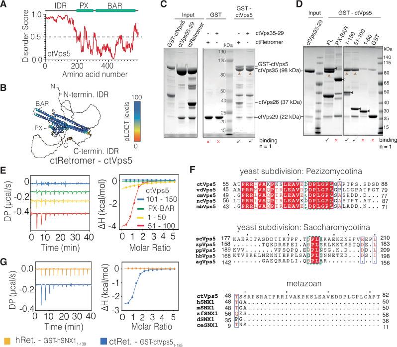 https://cdn.ncbi.nlm.nih.gov/pmc/blobs/ee8b/12000511/8477b46c8a89/41467_2025_58846_Fig1_HTML.jpg