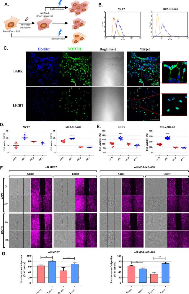 https://cdn.ncbi.nlm.nih.gov/pmc/blobs/ee8c/9118860/caa040f51c58/12964_2022_885_Fig2_HTML.jpg