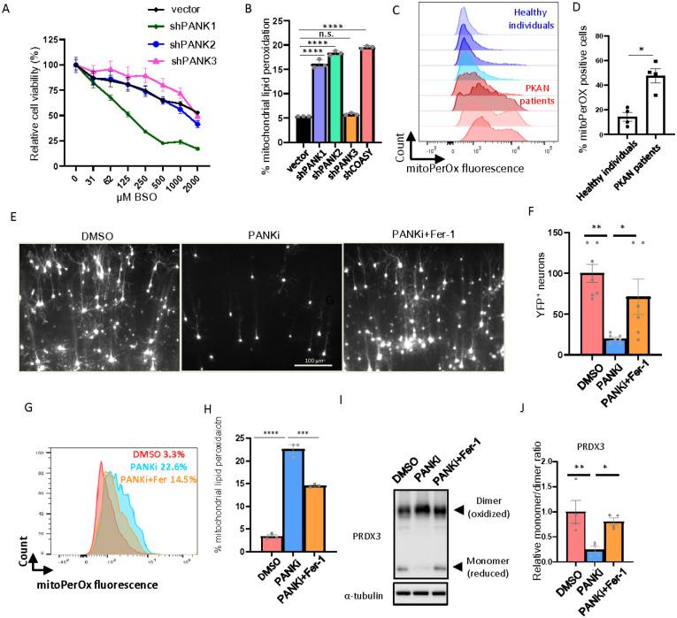 https://cdn.ncbi.nlm.nih.gov/pmc/blobs/ee8d/11213209/771ba3dd1702/nihpp-rs4522617v1-f0004.jpg