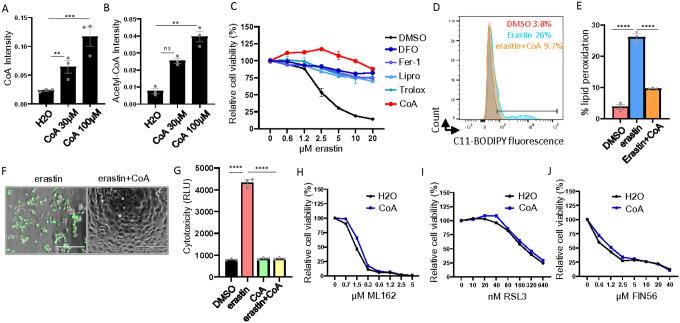 https://cdn.ncbi.nlm.nih.gov/pmc/blobs/ee8d/11213209/91661e3d1ec7/nihpp-rs4522617v1-f0001.jpg