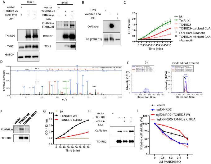 https://cdn.ncbi.nlm.nih.gov/pmc/blobs/ee8d/11213209/ba70124d78b2/nihpp-rs4522617v1-f0003.jpg