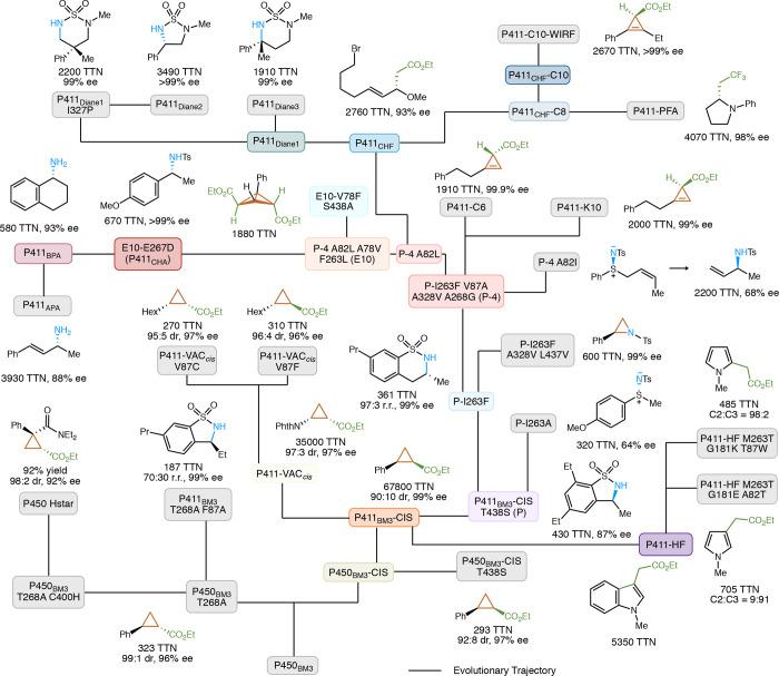 https://cdn.ncbi.nlm.nih.gov/pmc/blobs/ee8f/7931446/3fa7e9d5694e/ar0c00591_0001.jpg