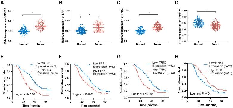 https://cdn.ncbi.nlm.nih.gov/pmc/blobs/ee92/12036101/e92a6ecadefc/jcav16p2103g010.jpg