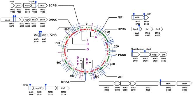 https://cdn.ncbi.nlm.nih.gov/pmc/blobs/ee92/3179502/8a48d461776f/pone.0025291.g003.jpg