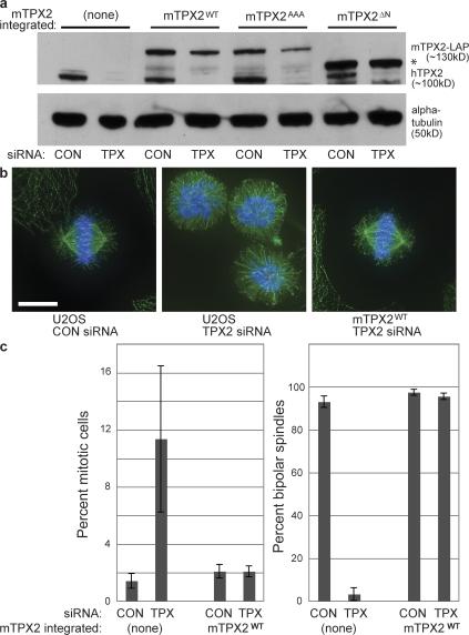 https://cdn.ncbi.nlm.nih.gov/pmc/blobs/ee93/2483532/c36836428783/jcb1820289f01.jpg