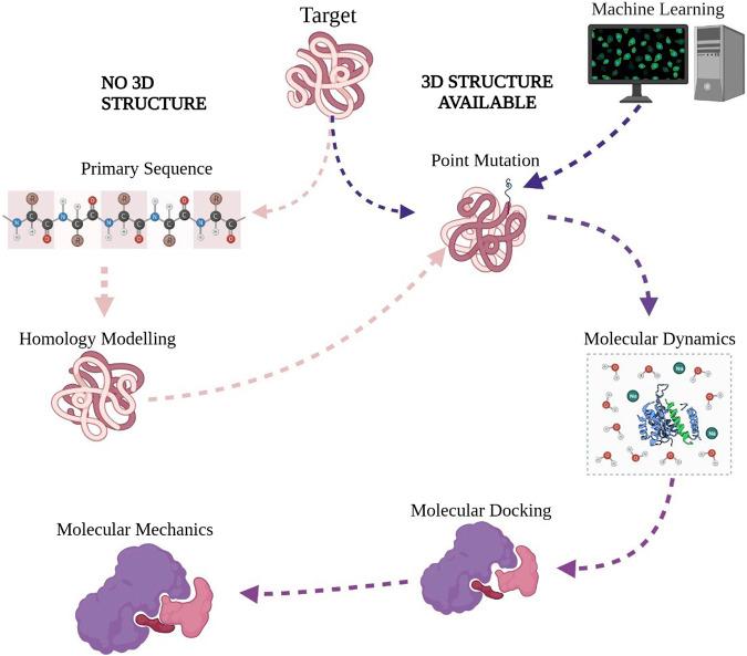 https://cdn.ncbi.nlm.nih.gov/pmc/blobs/ee93/8505691/8b2b9e496761/fmolb-08-643849-g004.jpg