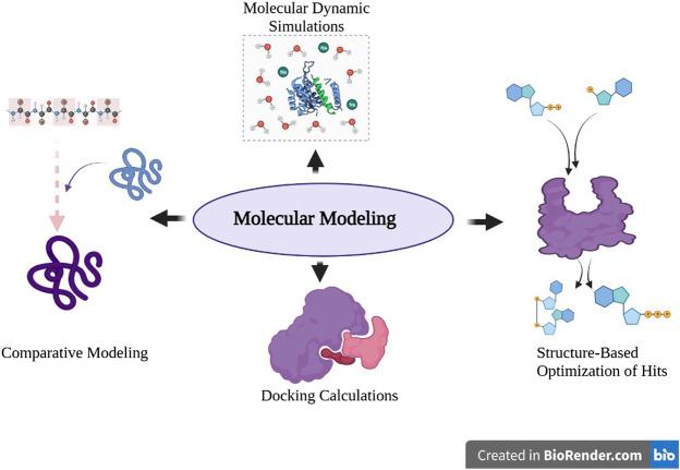 https://cdn.ncbi.nlm.nih.gov/pmc/blobs/ee93/8505691/a7c511691308/fmolb-08-643849-g002.jpg