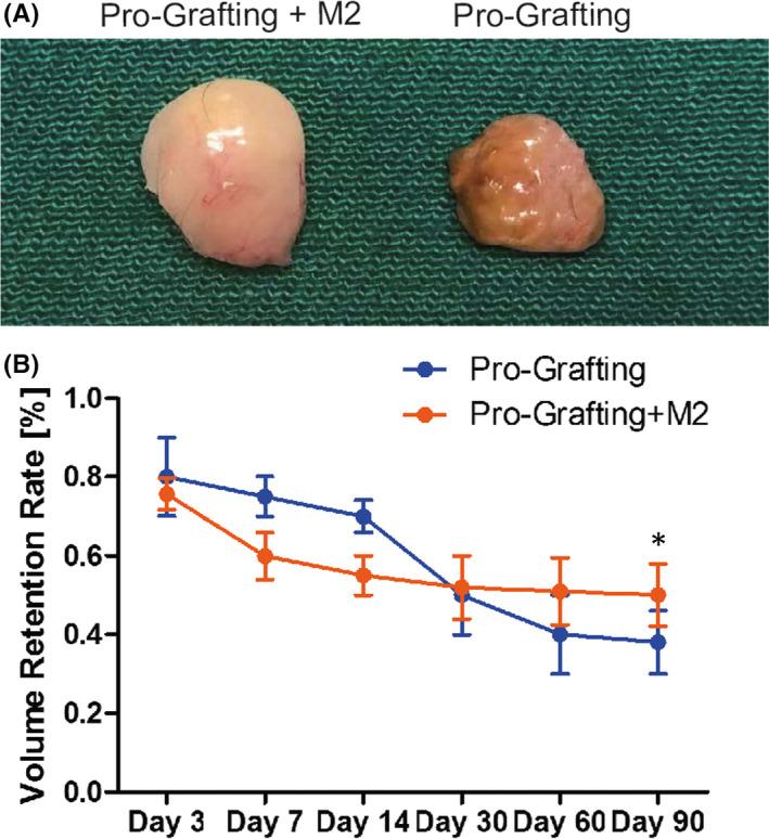 https://cdn.ncbi.nlm.nih.gov/pmc/blobs/ee96/9170812/856d29171bca/JCMM-26-3235-g006.jpg