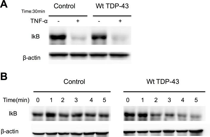 https://cdn.ncbi.nlm.nih.gov/pmc/blobs/ee97/4646651/8c560cc5fb93/pone.0142296.g003.jpg