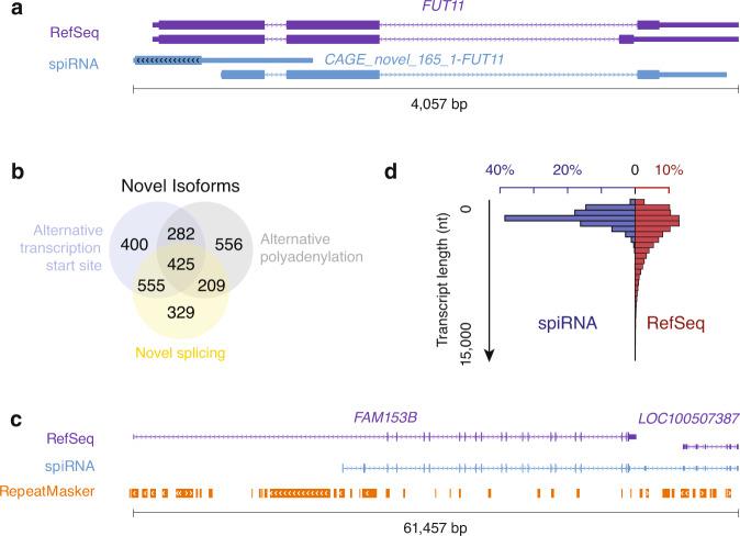 https://cdn.ncbi.nlm.nih.gov/pmc/blobs/ee97/7921563/fd0af3fb2db8/41467_2021_21524_Fig5_HTML.jpg