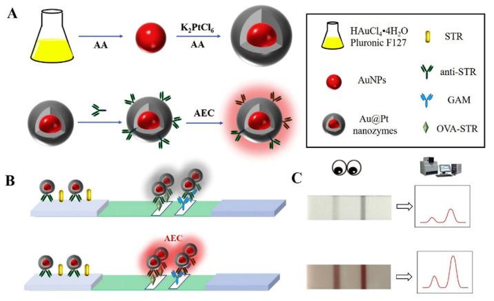 https://cdn.ncbi.nlm.nih.gov/pmc/blobs/ee98/8150770/43446e40e43e/sensors-21-03358-g005.jpg