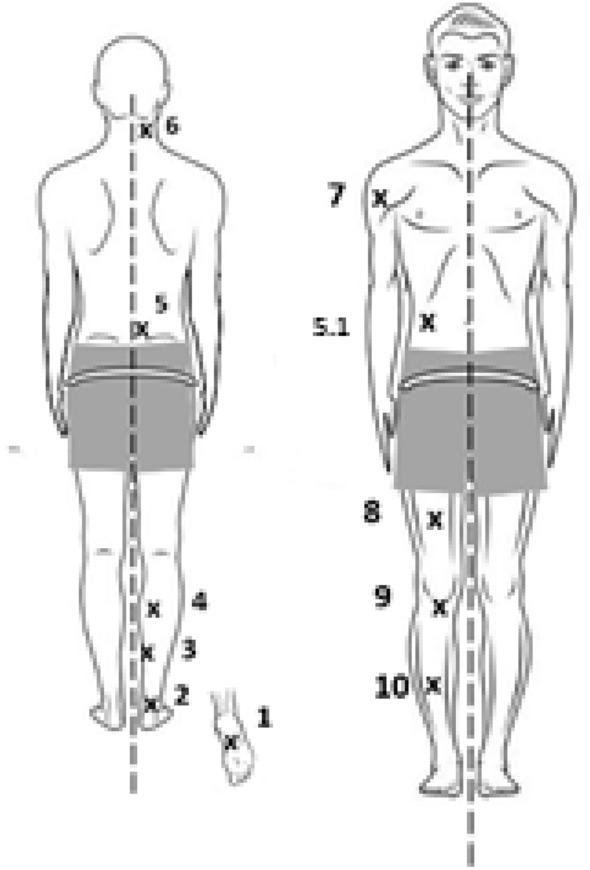 https://cdn.ncbi.nlm.nih.gov/pmc/blobs/ee99/9372175/fba310d4405b/41598_2022_17507_Fig1_HTML.jpg