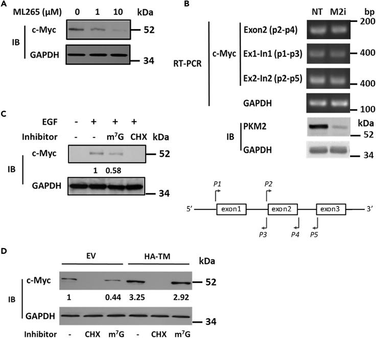 https://cdn.ncbi.nlm.nih.gov/pmc/blobs/ee9b/7644948/4c58ec65dcac/gr2.jpg
