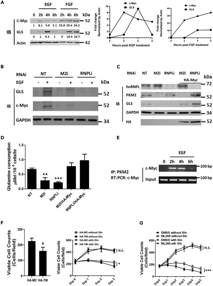 https://cdn.ncbi.nlm.nih.gov/pmc/blobs/ee9b/7644948/519f405c85c3/gr4.jpg