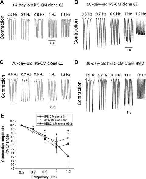 https://cdn.ncbi.nlm.nih.gov/pmc/blobs/ee9d/3822492/44ad8e987292/jcmm0015-0038-f5.jpg