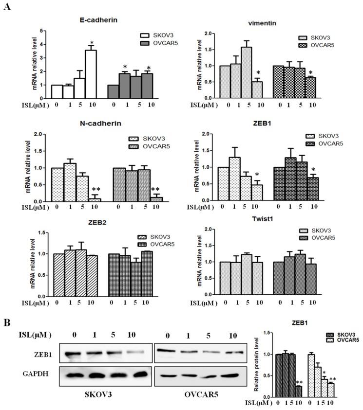 https://cdn.ncbi.nlm.nih.gov/pmc/blobs/ee9d/6833095/88a3386c5132/molecules-24-03725-g003.jpg