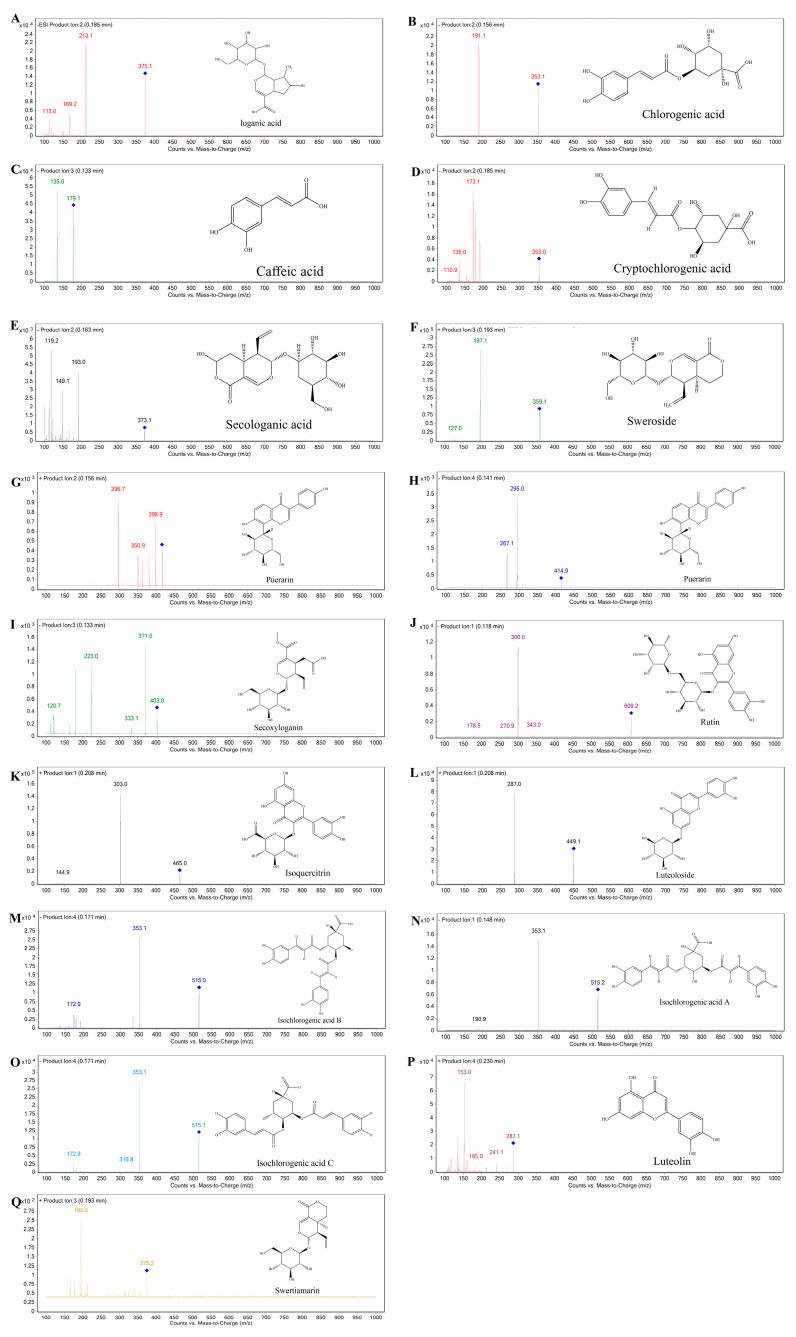 https://cdn.ncbi.nlm.nih.gov/pmc/blobs/ee9f/10537356/932ed7e80ab5/molecules-28-06437-g002.jpg