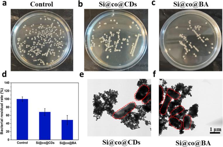 https://cdn.ncbi.nlm.nih.gov/pmc/blobs/ee9f/12004185/77c43e88c21a/ao5c01507_0007.jpg