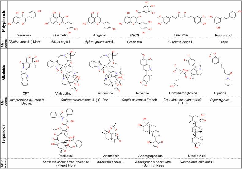 https://cdn.ncbi.nlm.nih.gov/pmc/blobs/ee9f/12006474/98c09398db0f/41392_2025_2167_Fig3_HTML.jpg