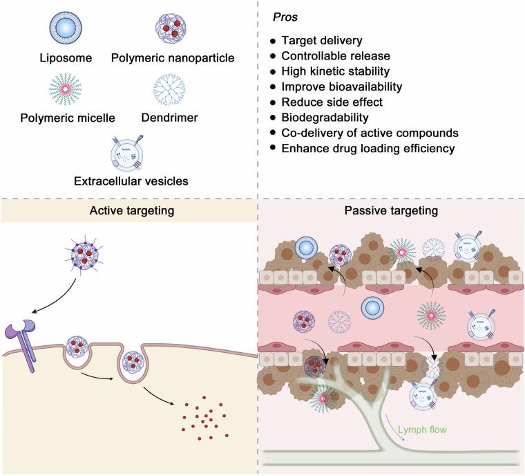 https://cdn.ncbi.nlm.nih.gov/pmc/blobs/ee9f/12006474/ab0bdbae26b5/41392_2025_2167_Fig5_HTML.jpg