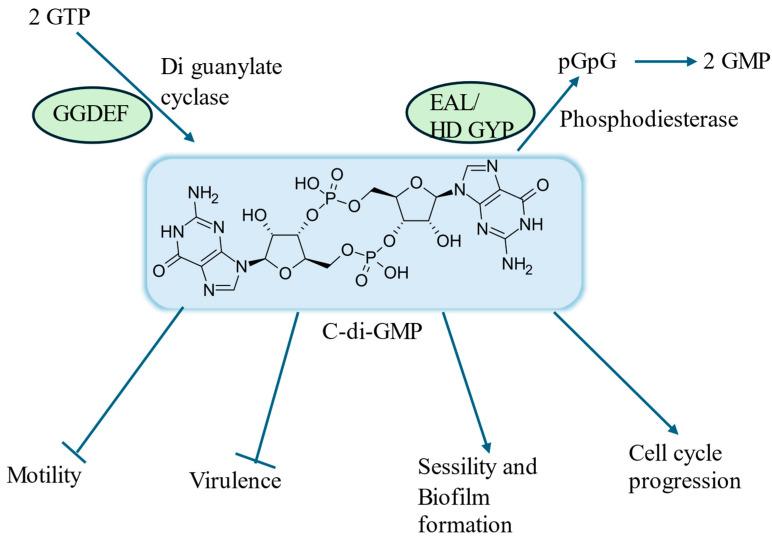 https://cdn.ncbi.nlm.nih.gov/pmc/blobs/eea0/11767195/637882b2f04e/life-15-00049-g002.jpg