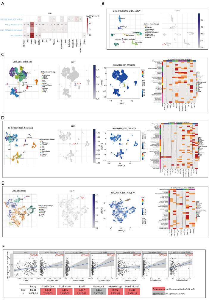 https://cdn.ncbi.nlm.nih.gov/pmc/blobs/eea0/9459514/11a423610e2d/tcr-11-08-2713-f8.jpg